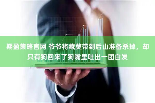 期盈策略官网 爷爷将藏獒带到后山准备杀掉，却只有狗回来了狗嘴里吐出一团白发